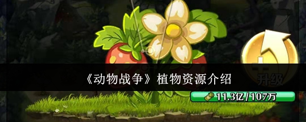 如何在〈动物战争〉中高效利用植物资源？