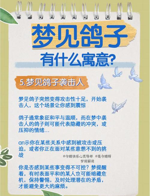 梦见鸽子寓意揭秘好运开启还是暗藏玄机? 梦见鸽子寓意揭秘好运开启还是暗藏玄机?
