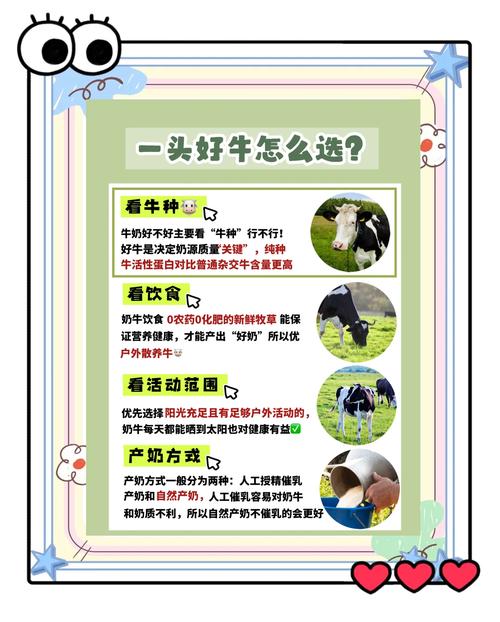 梦见奶牛的深层解读，情感共鸣揭示生活中的潜在意义！