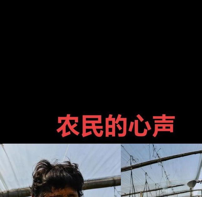 梦见农民的深刻寓意探析，用户揭示内心渴望与成长动力！