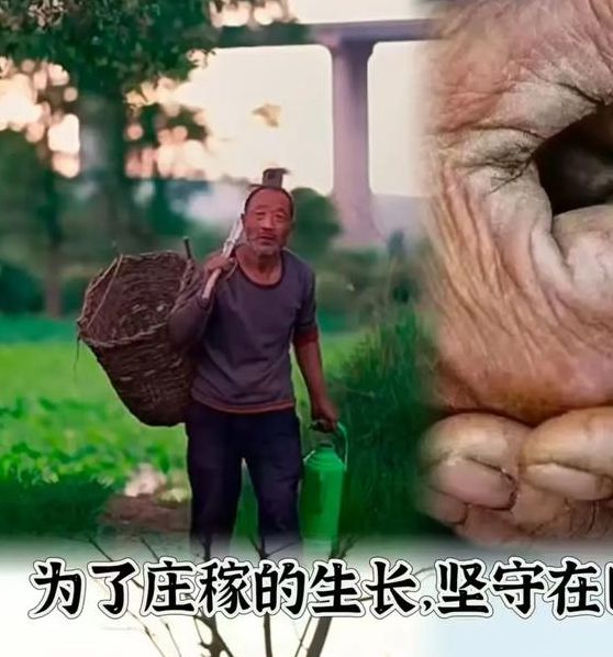 梦见农民的深刻寓意探析，用户揭示内心渴望与成长动力！