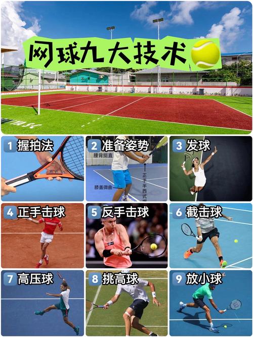 梦见网球预示着哪些？揭示背后心理暗示及趋势解读