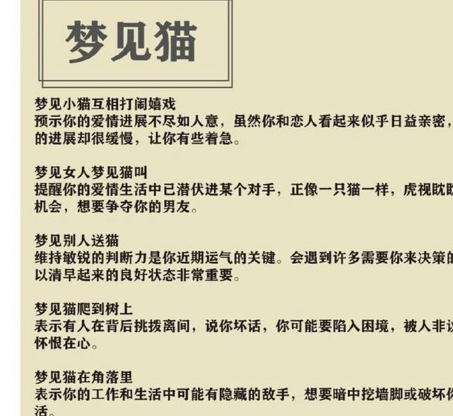 梦见杀猫的深层含义解读9个关键心理层面分析