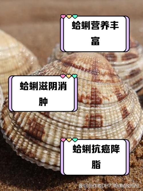 解析梦见蛤蚶10个心理原因及专家建议