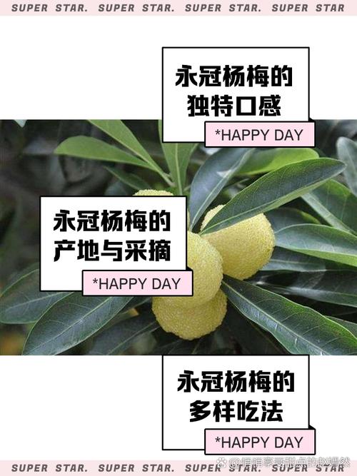 梦见杨梅预示的5种幸福兆头是哪些？