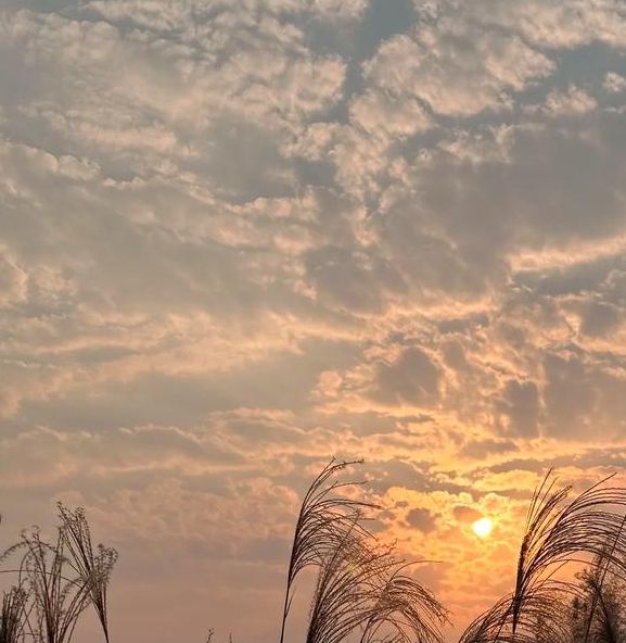 梦见云遮太阳的5大象征意义及其影响解析