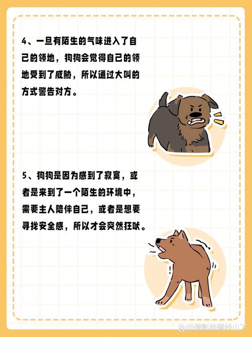 梦见狗叫背后的心理解析及高效解决方案揭示