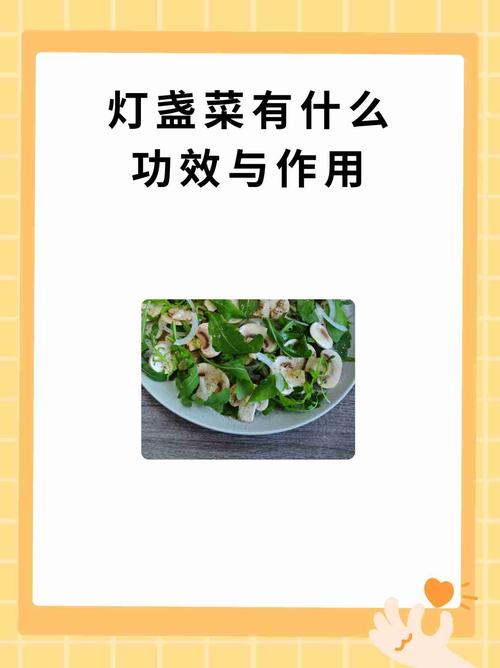 梦见菜羹象征的5个隐秘含义及其心理解析