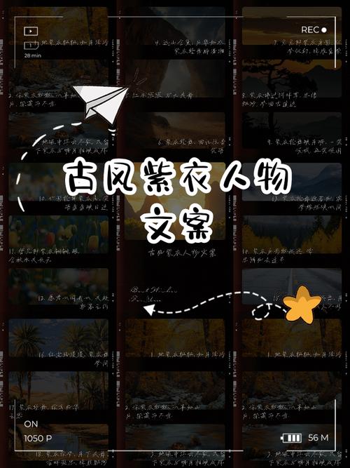 梦见紫衣象征解析梦境心理 vs 现实暗示