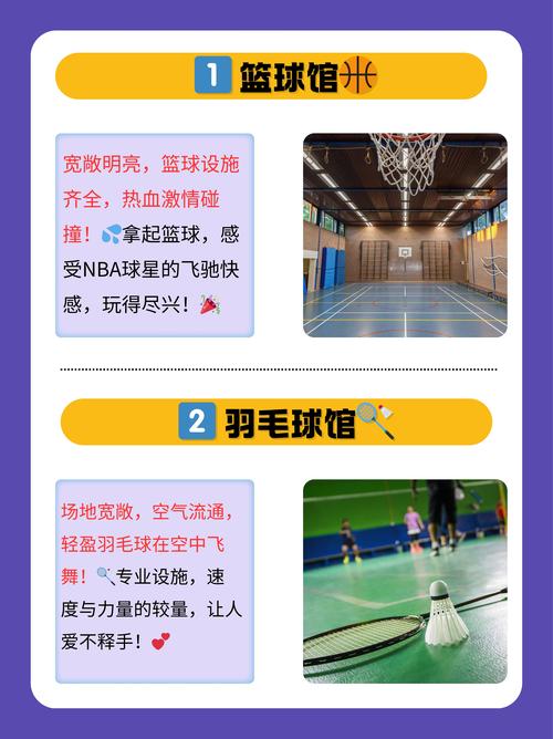 梦见体育馆的5个心理解析和象征意义揭秘