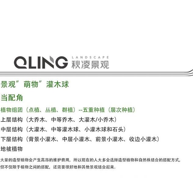 梦见灌木深度解析揭示背后含义及解决方案