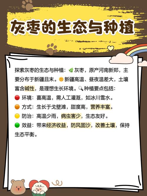 梦见种枣树的深层寓意，探索心灵成长之旅