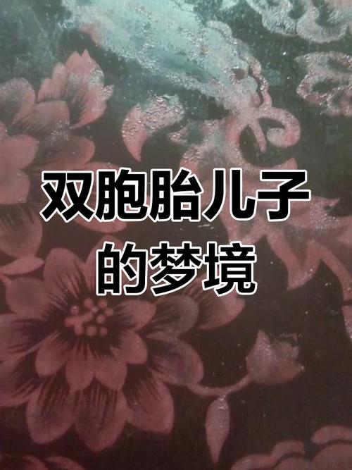 梦见双胞胎预示哪些？解读深层含义，提高生活幸福感！