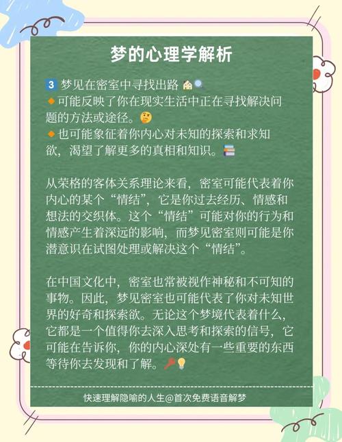 梦见侦探的深层解析与心理暗示，网友揭示隐藏内心世界！