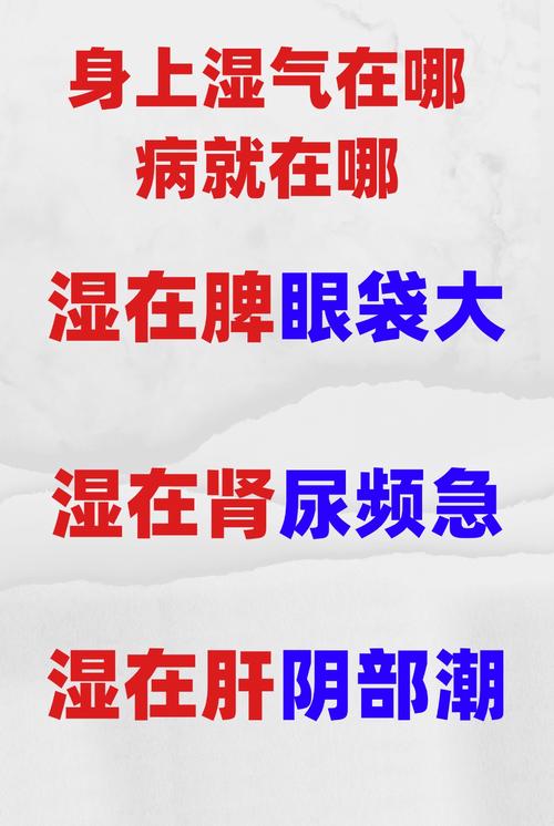 梦见淋湿预示着哪些？解读背后的心理暗示与运势玄机