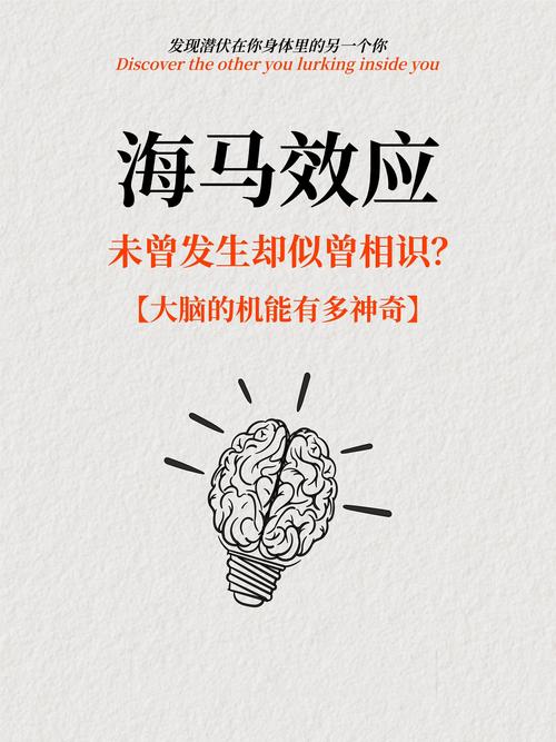 解读梦见海湾的5大象征意义心灵启示与现实启发