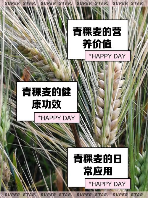 梦见稞麦意味着哪些？专家解析梦境背后的深层含义与好运预示。