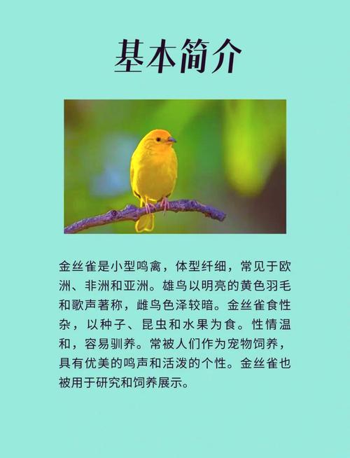 解析梦见金丝鸟的7大象征意义及心理启示 解析梦见金丝鸟的7大象征意义及心理启示