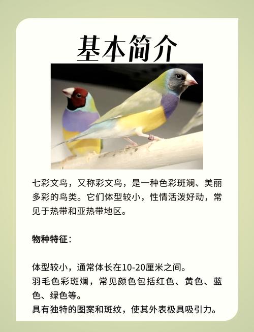 解析梦见金丝鸟的7大象征意义及心理启示 解析梦见金丝鸟的7大象征意义及心理启示