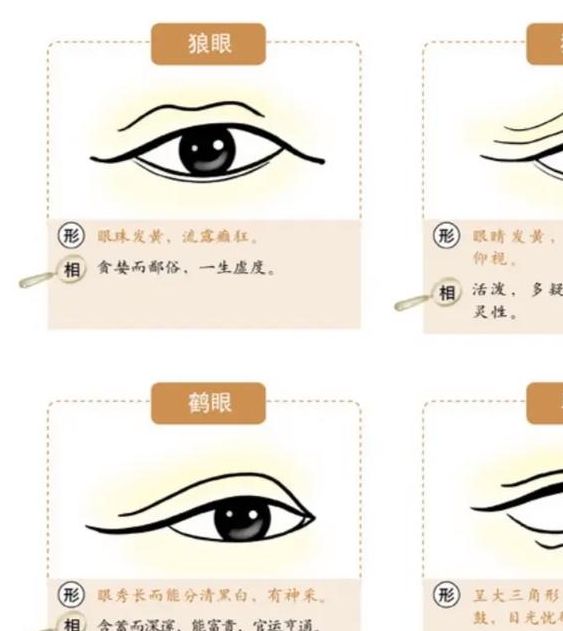 梦见单眼象征哪些?揭开其背后的心理暗示与含义 梦见单眼象征哪些?揭开其背后的心理暗示与含义
