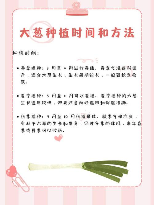 梦见种大葱的深意提升事业运的5个秘诀 梦见种大葱的深意提升事业运的5个秘诀