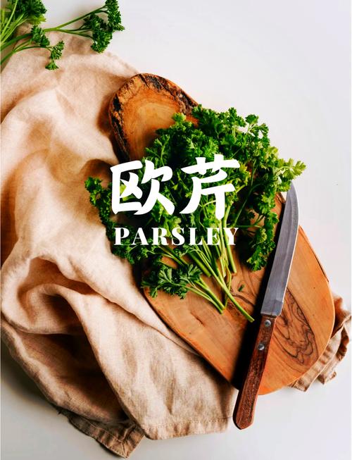 梦见欧芹的象征意义及其对生活的启示