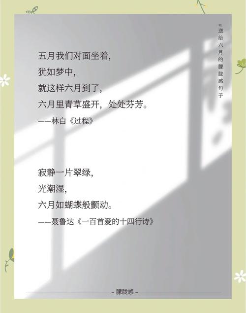 梦见六月真实解析深刻情感共鸣，读者评论揭示心灵力量！