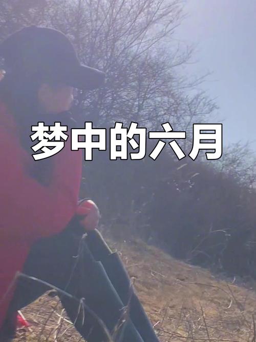梦见六月真实解析深刻情感共鸣，读者评论揭示心灵力量！