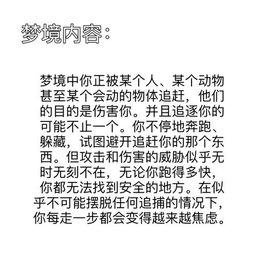 梦见追捕蝴蝶意味着哪些？揭示高效解决方案的内在秘密