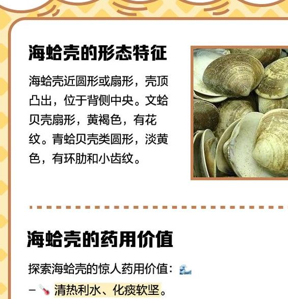 梦见蛤蚶解析神秘海洋生物背后隐藏的心理暗示，探索梦境深层意义！