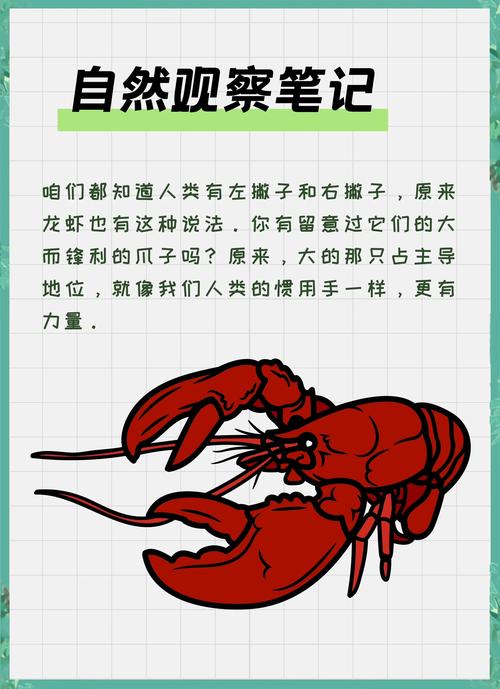 梦见龙虾预示着哪些？揭秘背后潜藏的惊人真相！
