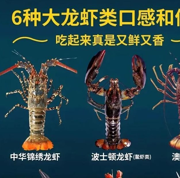 梦见龙虾预示着哪些？揭秘背后潜藏的惊人真相！