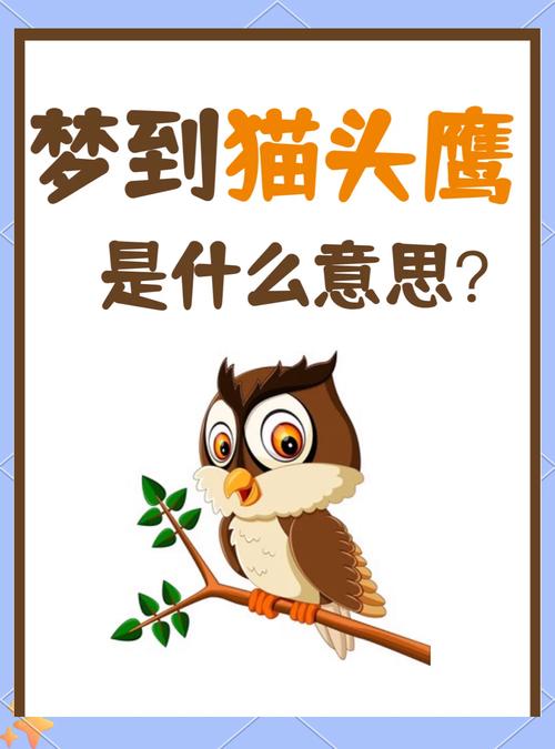 梦见猫头鹰寓意解析吉凶对比及内心暗示揭秘
