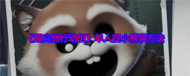如何单人高效捉住〈超自然行动组〉中的小熊猫？