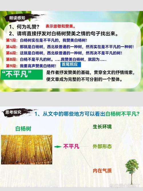 梦见白杨象征哪些？探索心灵启示与成长的奥秘