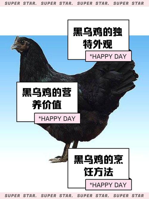 梦见黑鸡预示着哪些？如何解读背后的心理暗示？