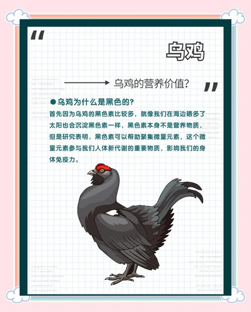 梦见黑鸡预示着哪些？如何解读背后的心理暗示？