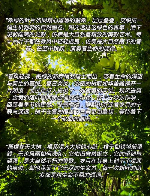 梦见树木的深层寓意如何解读梦境中的自然象征？