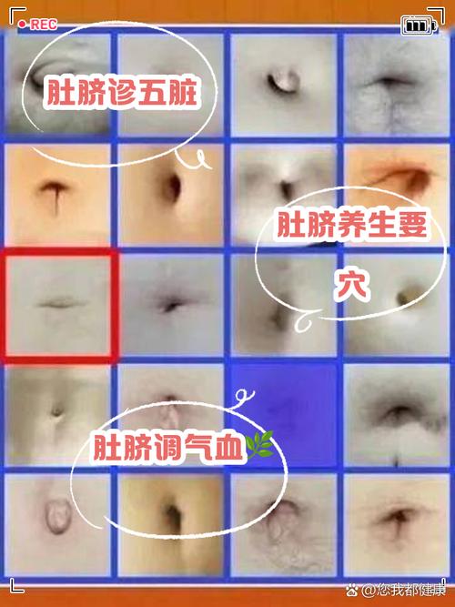 梦见肚脐意味着哪些？揭示隐藏的心理状态与内心渴望