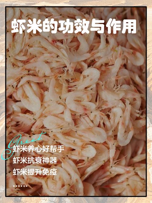 梦见虾米象征意义深度解析梦境心理与生活启示