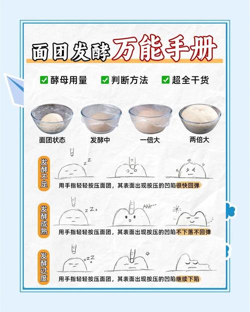 梦见生面团预示哪些？精神成长与生活挑战的对比分析