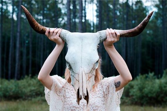 梦见头长角意味着哪些？深度解析与高效解决方案