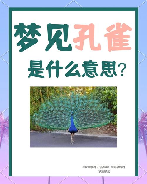 梦见孔雀鸣叫的深意解读梦境背后的心理暗示