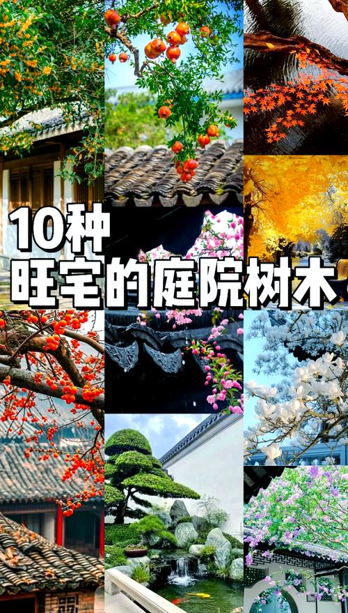 梦见庭院的5个寓意解析探索内心世界的象征符号