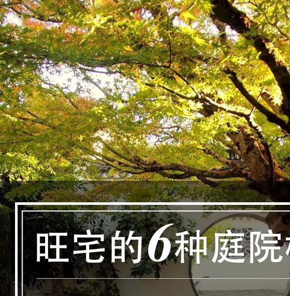 梦见庭院的5个寓意解析探索内心世界的象征符号