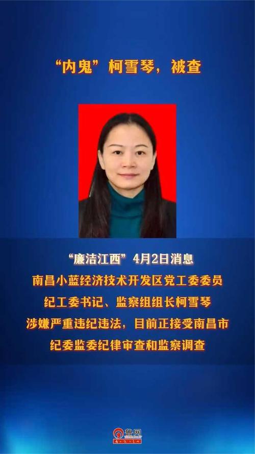 内鬼柯雪琴被查：揭秘2025年4月3日的严重违纪内幕