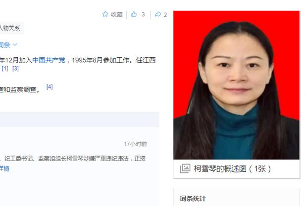 内鬼柯雪琴被查：揭秘2025年4月3日的严重违纪内幕