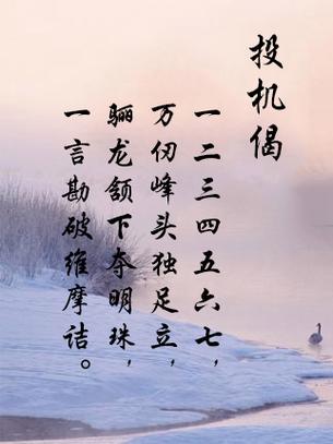 梦见投机者的5个解析深入探讨其象征意义与心理暗示