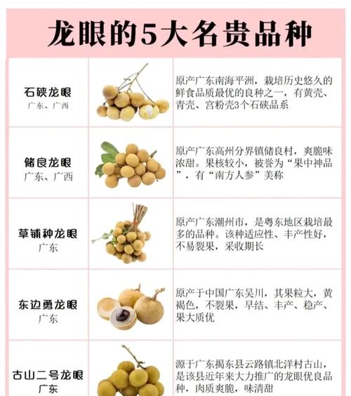 梦见龙眼的寓意揭秘高效解决方案如何解读梦境信息
