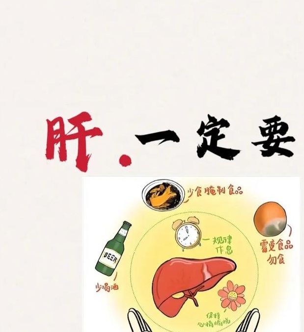 探索梦见肝脏的深层含义，提升健康意识从此开始